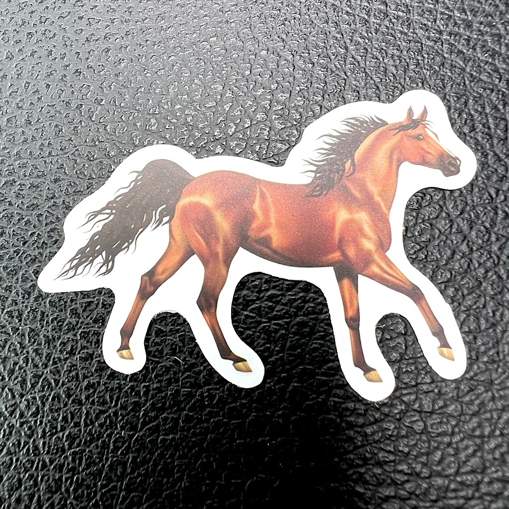 BEAUTIFUL BAY Equestrian Horse Girl Boy Cowboy CowGirl Single Waterproof Sticker
